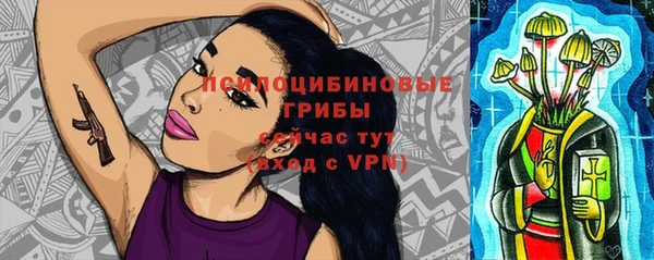 spice Алексин