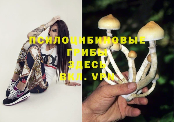 кокаин колумбия Сатка