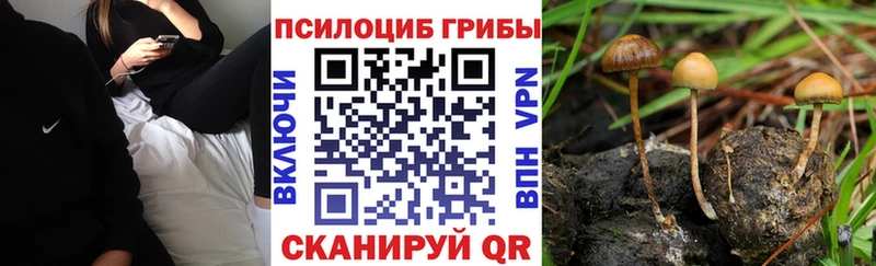 Галлюциногенные грибы Magic Shrooms Донецк